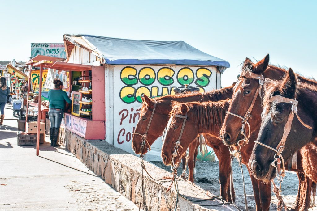 Baja Peninsula Mexico