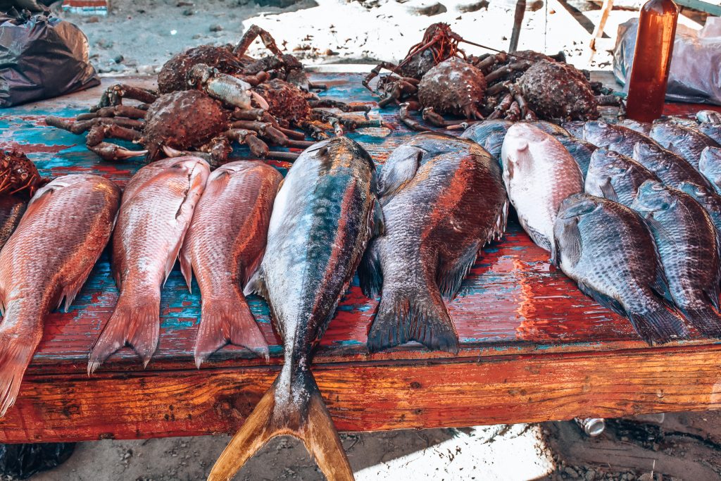 Pile of fish on a red table in the sand at the Poplotla fish market in Rosarito Mexico