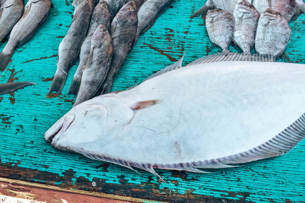  fish on a blue table at the Poplotla fish market near rosarito mexico. 