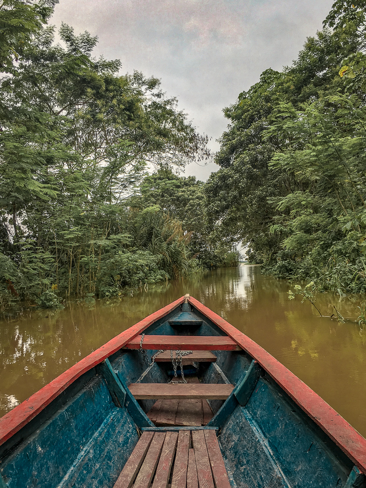 amazon rainforest travel reddit