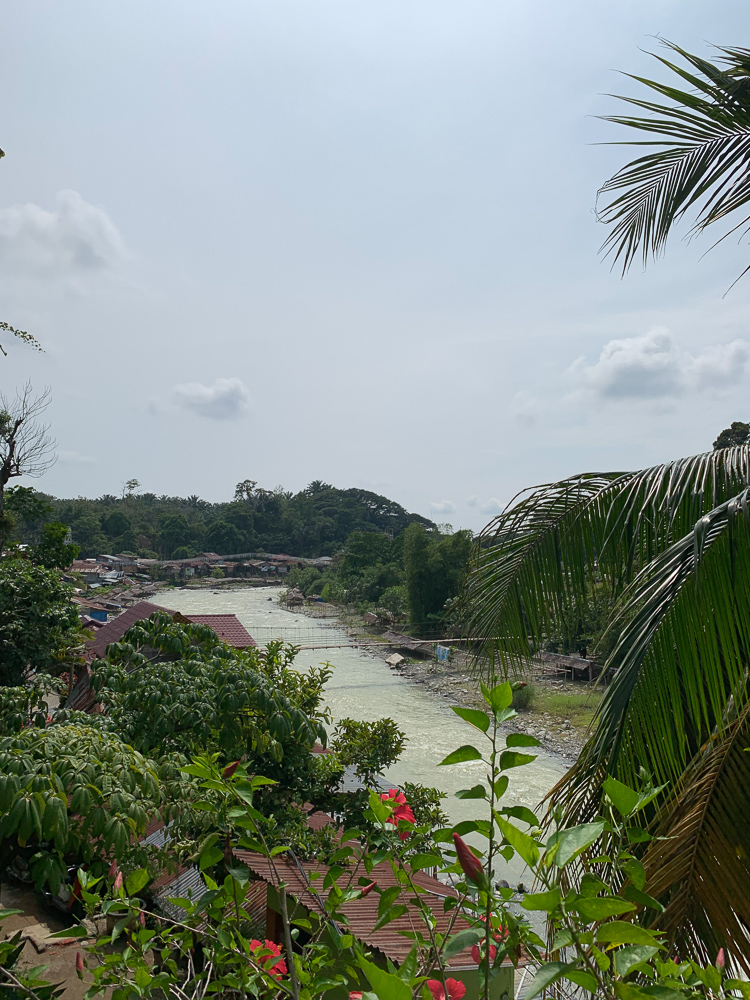 Sumatra Orangutan Trek 