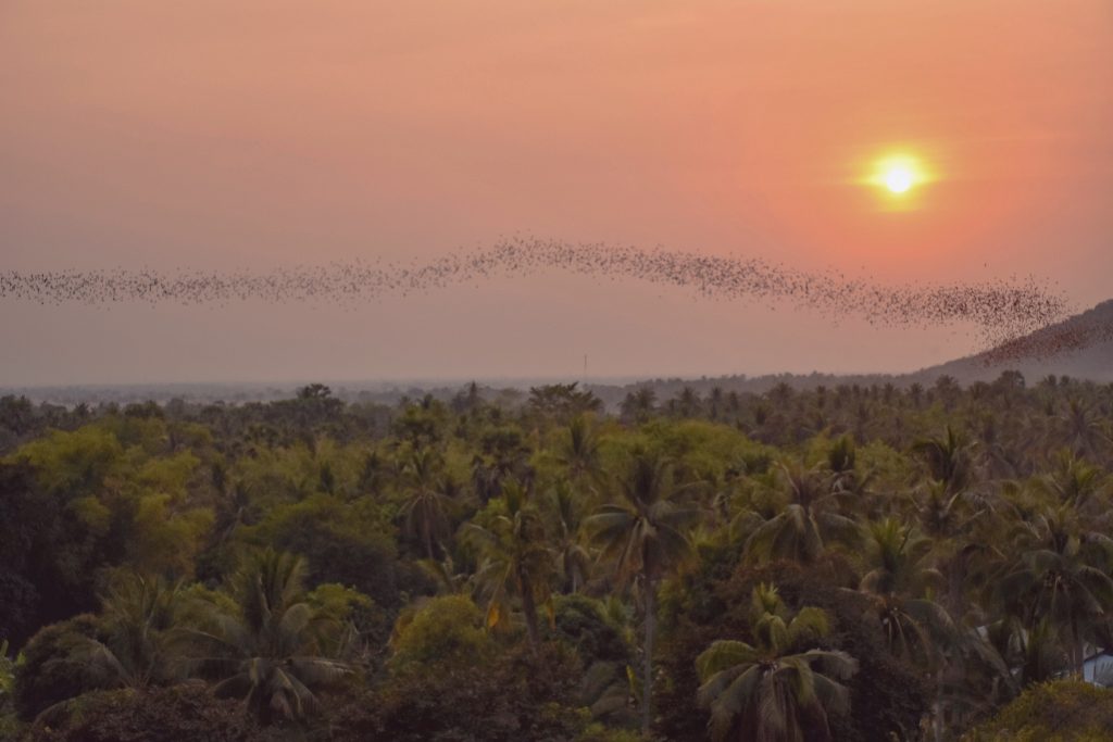 Cambodia tips 