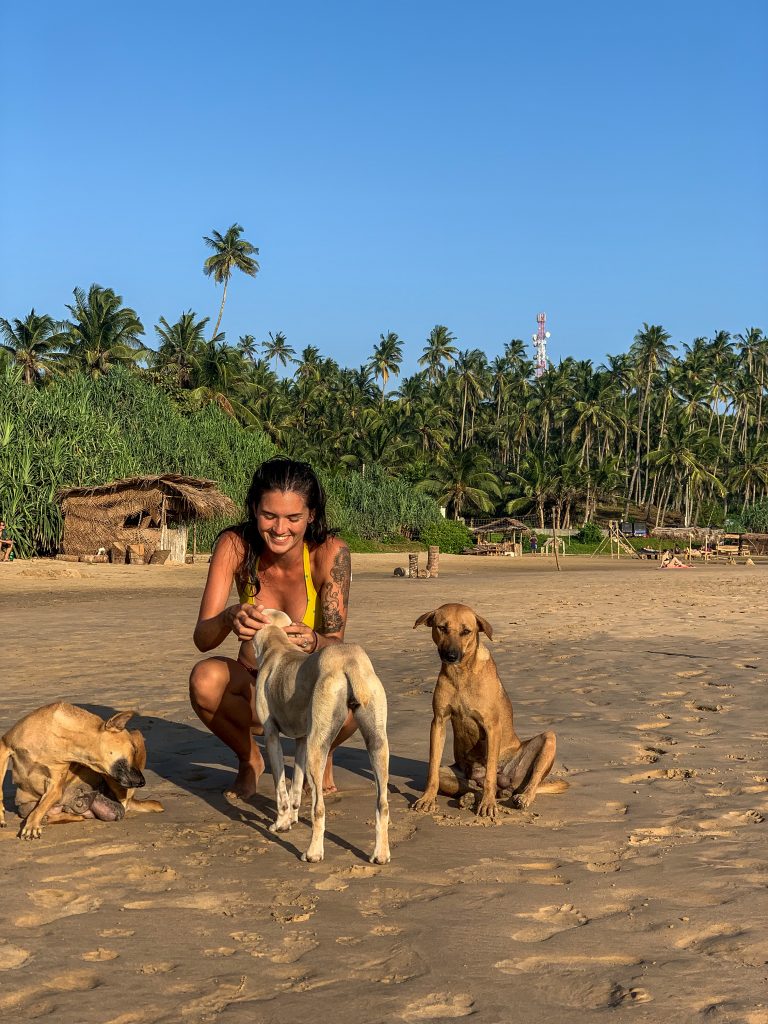 Sri Lanka's best beaches dogs 
