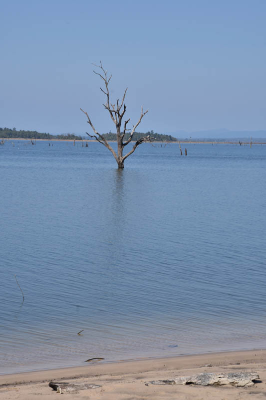 ghost ship beach. Lake with trees floating in it on Thakhek loop. 