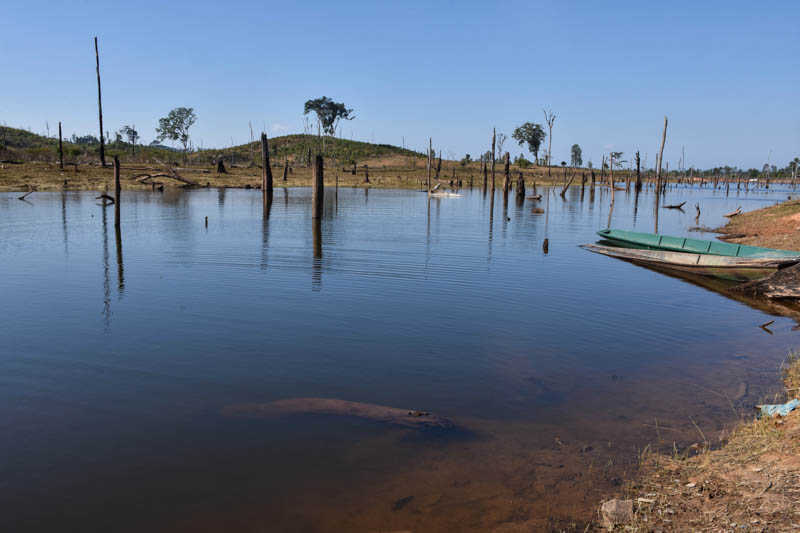 Lakes filled with trees on the Thakhek loop