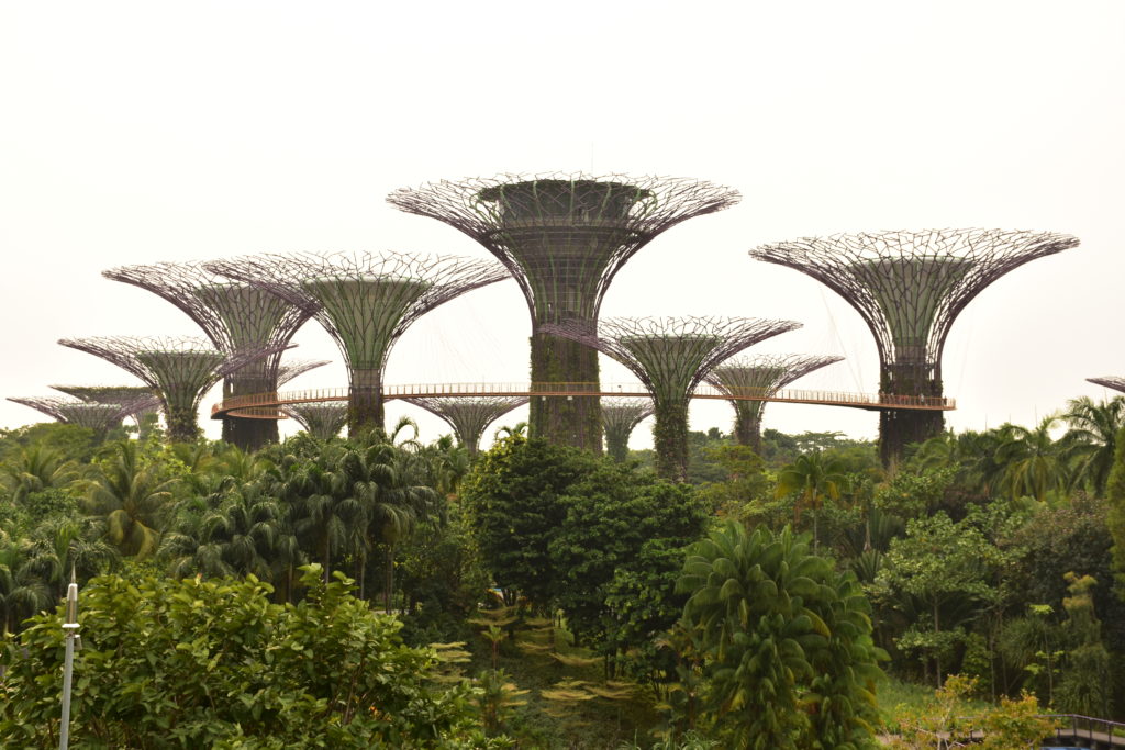 Gardens by the Bay SIngapore Trees 