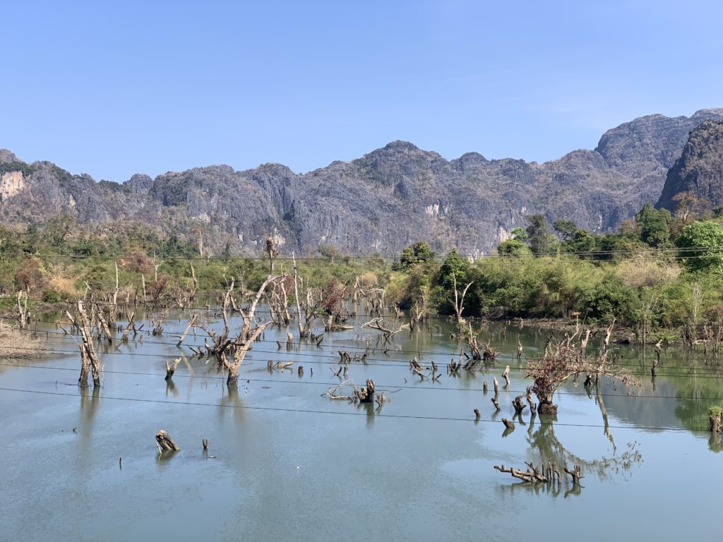 Flooded area filled with trees. 