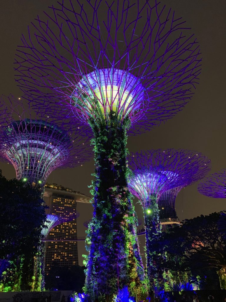Blue Lights on the gardens by the bay trees in Singapore 