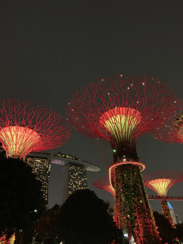 View of the gardens by the bay trees in Singapore at night. 