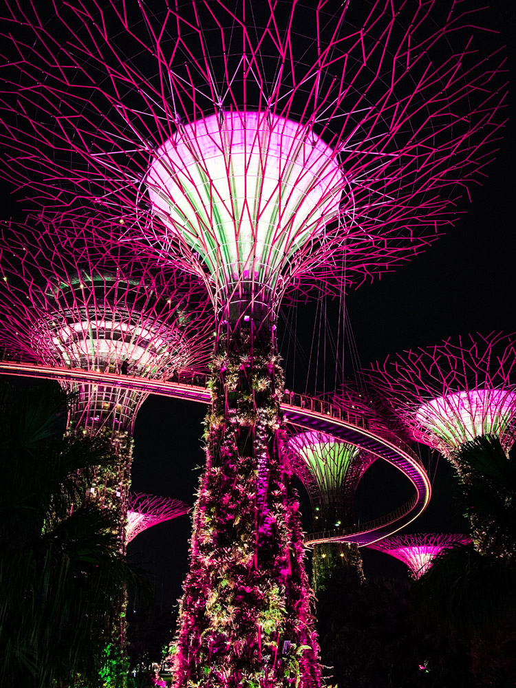Lights on the gardens by the bay trees in Singapore. 