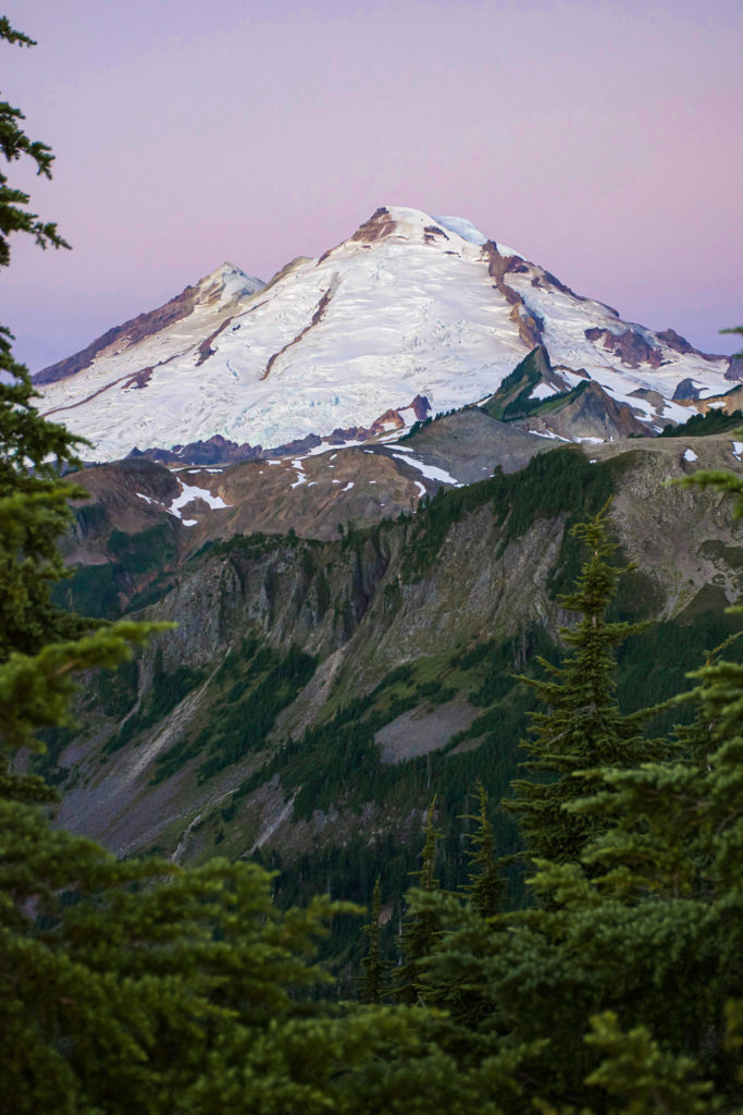 view of mount baker on North Cascades National Park Itinerary. Pink sunrise peaking around green forest 