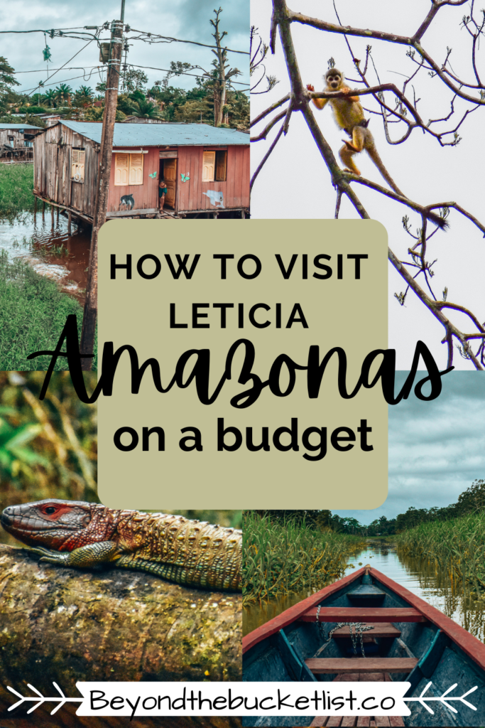 Experiencing the Amazon Rainforest on a Budget