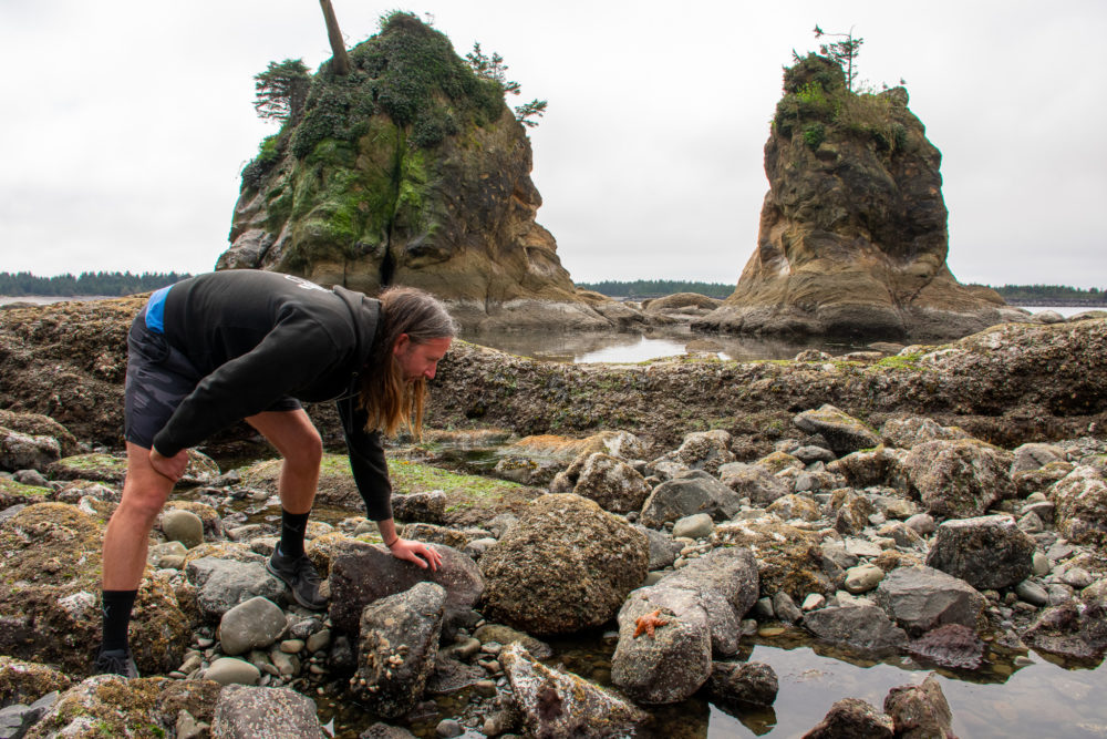 man standing in rocky tide pools bent over looking at an orange starfish. 