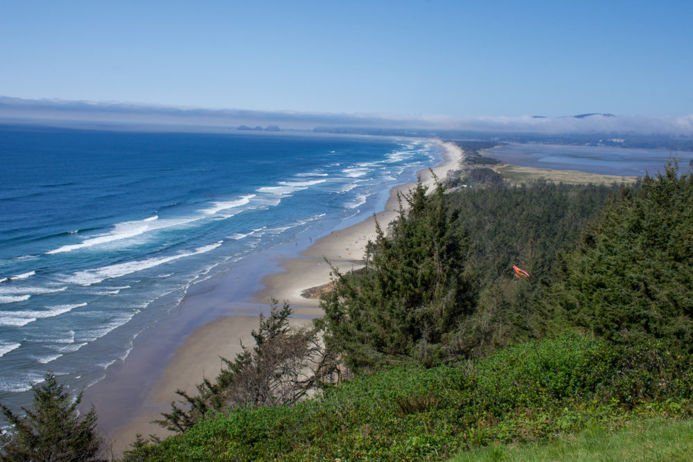 Green cliffside overlooking a long sandy beach and bright blue ocean coastline. 