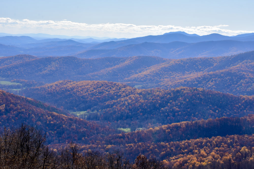 one of the best national parks to visit for fall foliage. View over Shenandoah national park. 