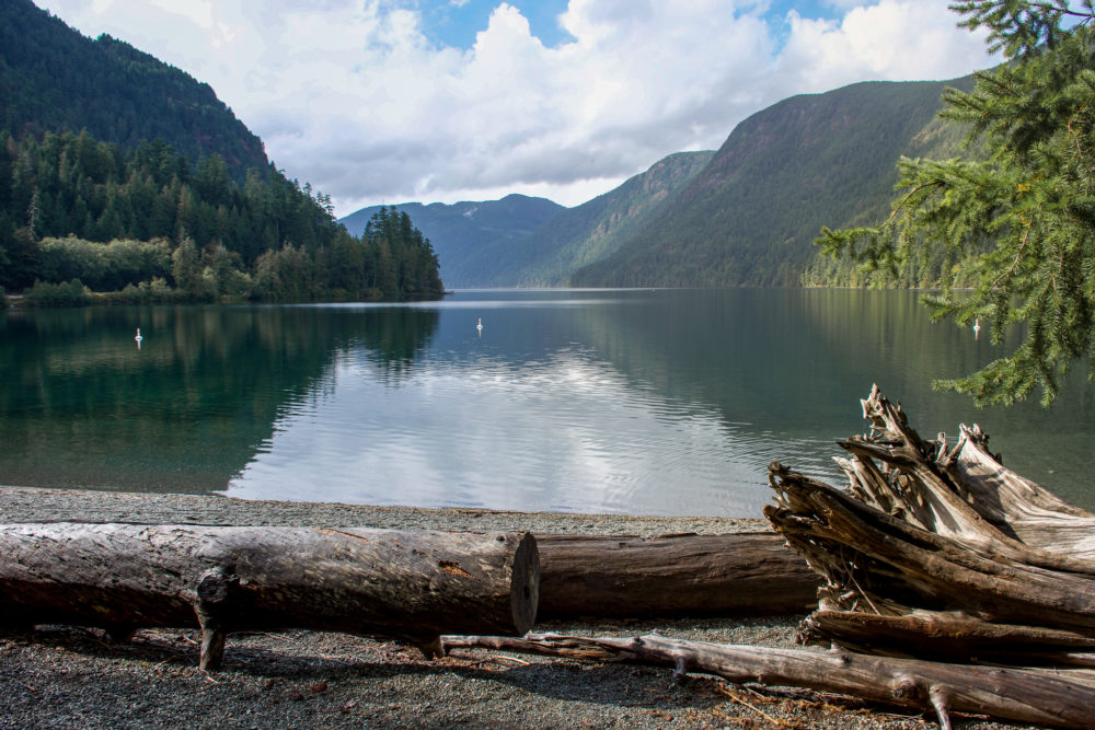 scenic lake with logs strewn around it on Vancouver Island 