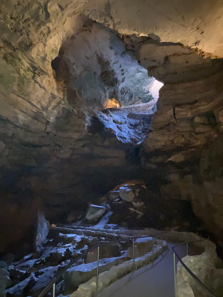 Carlsbad Caverns entrance. 