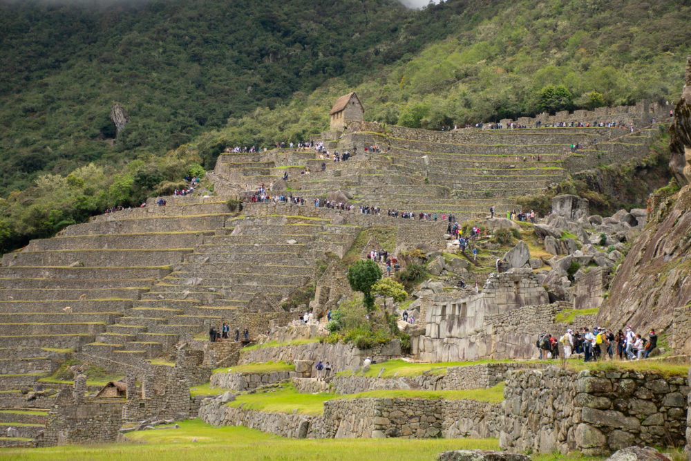 Crowds of tourists on the steps of Machu Picchu. 