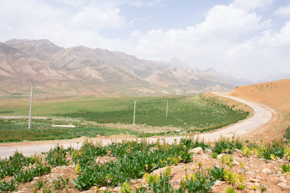 Beautiful road in Iran. How to visit Iran as an American