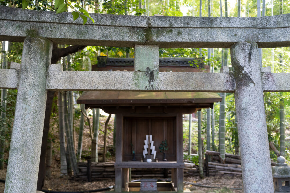 a large stone shinto shrine in a bamboo forest. 