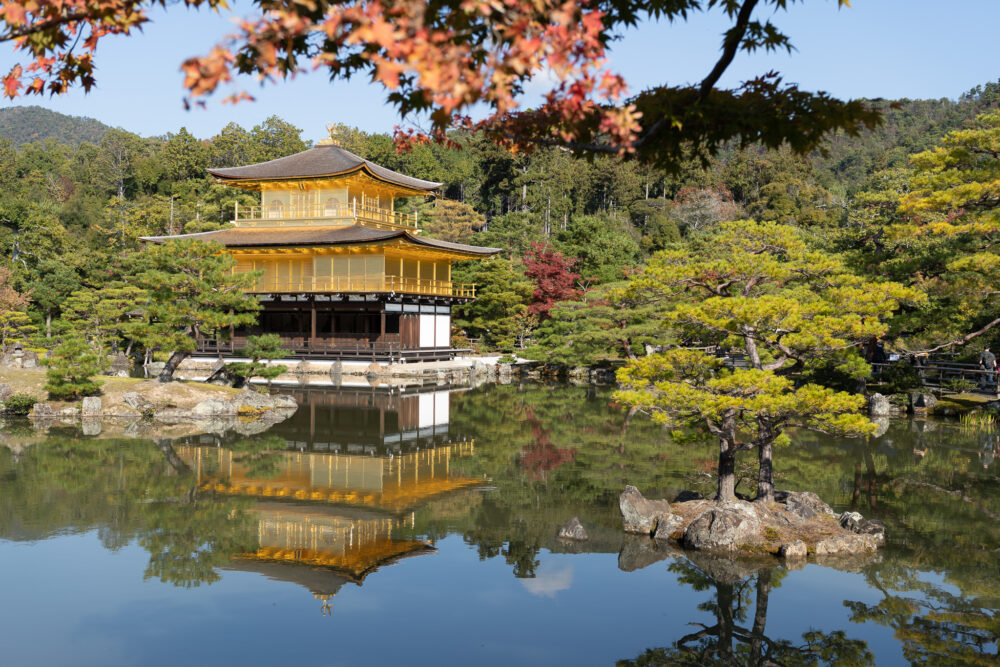 The view of golden temple in Kyoto during the busy fall months. 