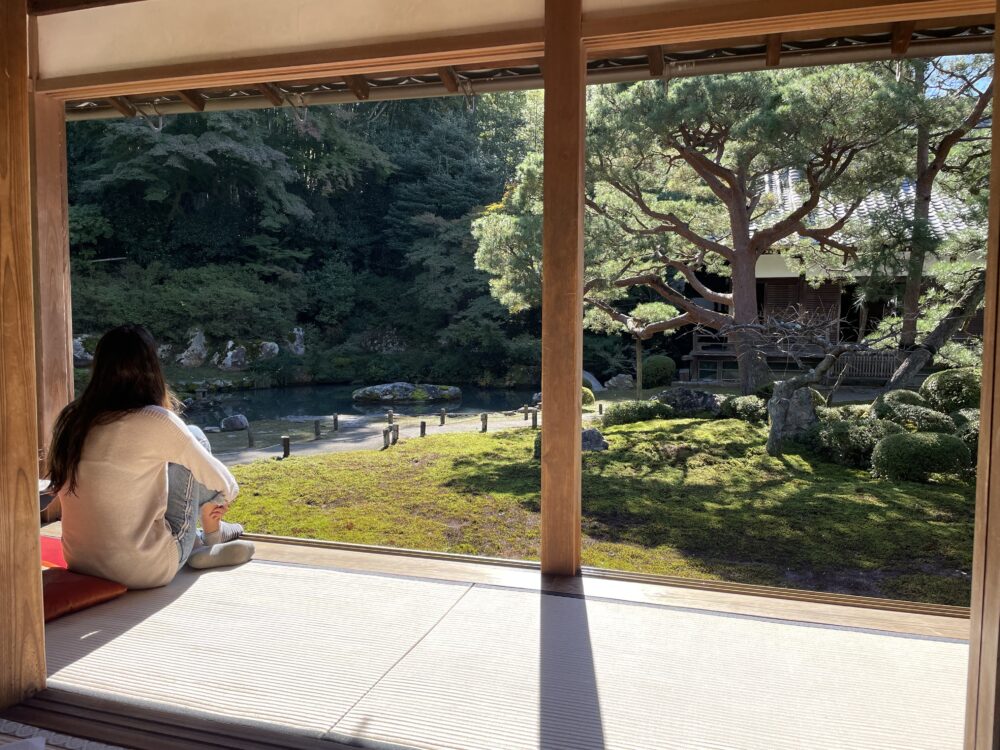views from inside a japanese tea house 