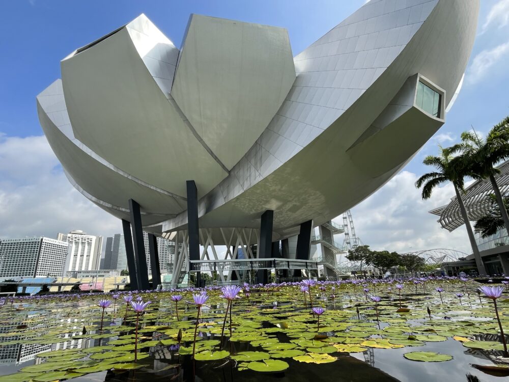 Giant lotus shaped building behind a natural pool filled with purple blooming lotus flowers. 