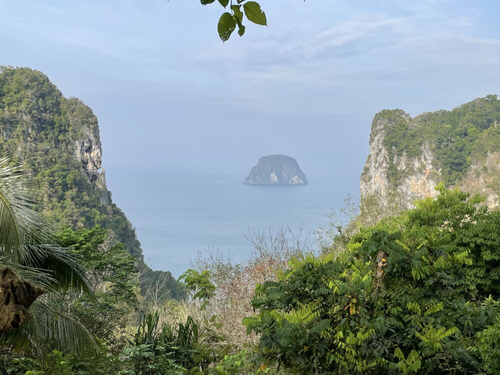 Limestone karsts from a viewpoint.  