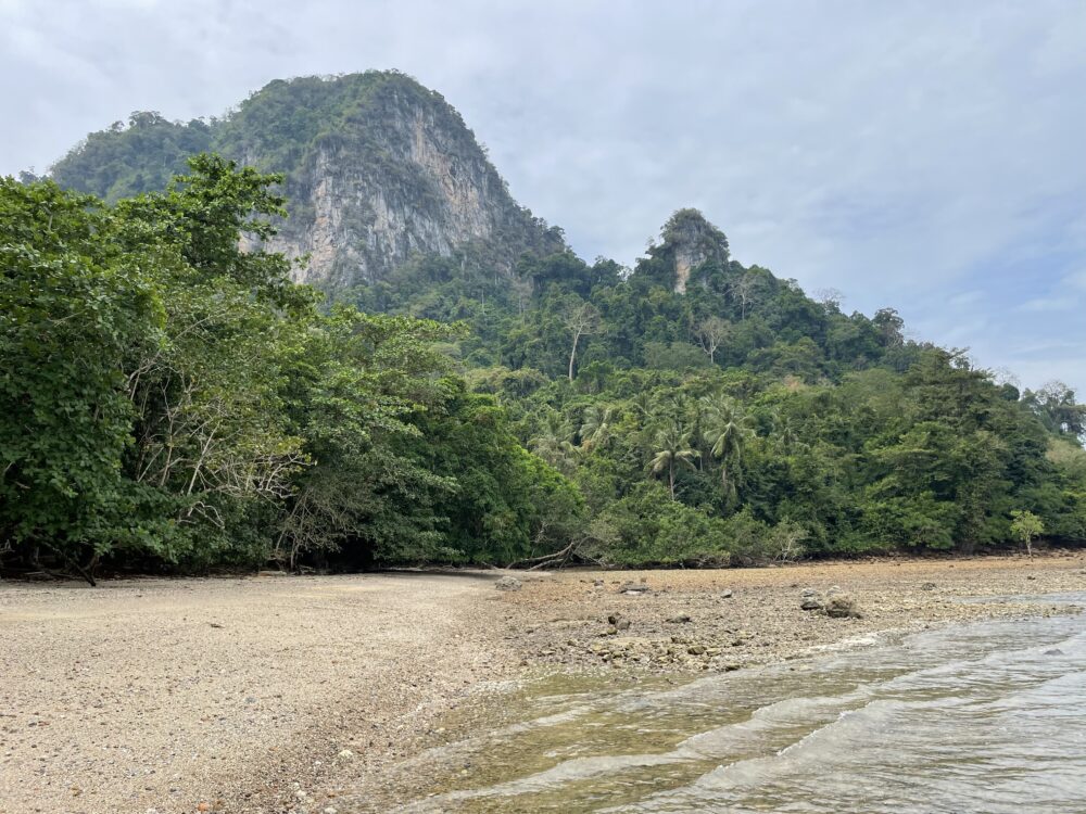 Rocky beach with jungle and green mountains behind it. 