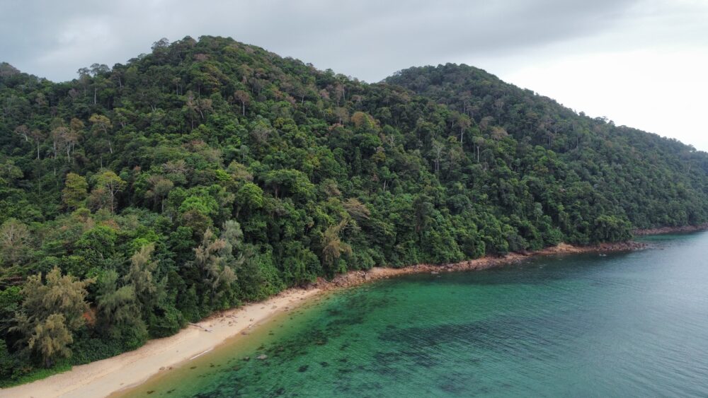 Stunning green water by a beach. 