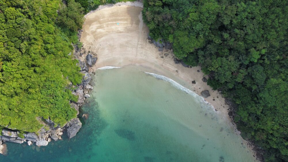 Aerial view of a stunning beach with lots of trees and greenery. 