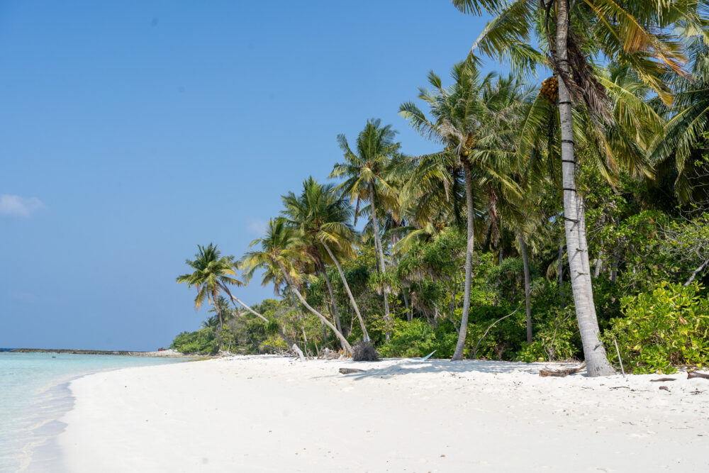Sunny white sand beach in Omadhoo Maldives 