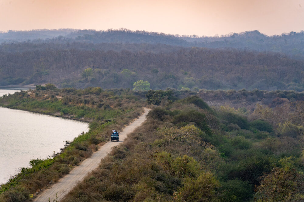 Jeep driving down a thin road in Gir National Park
