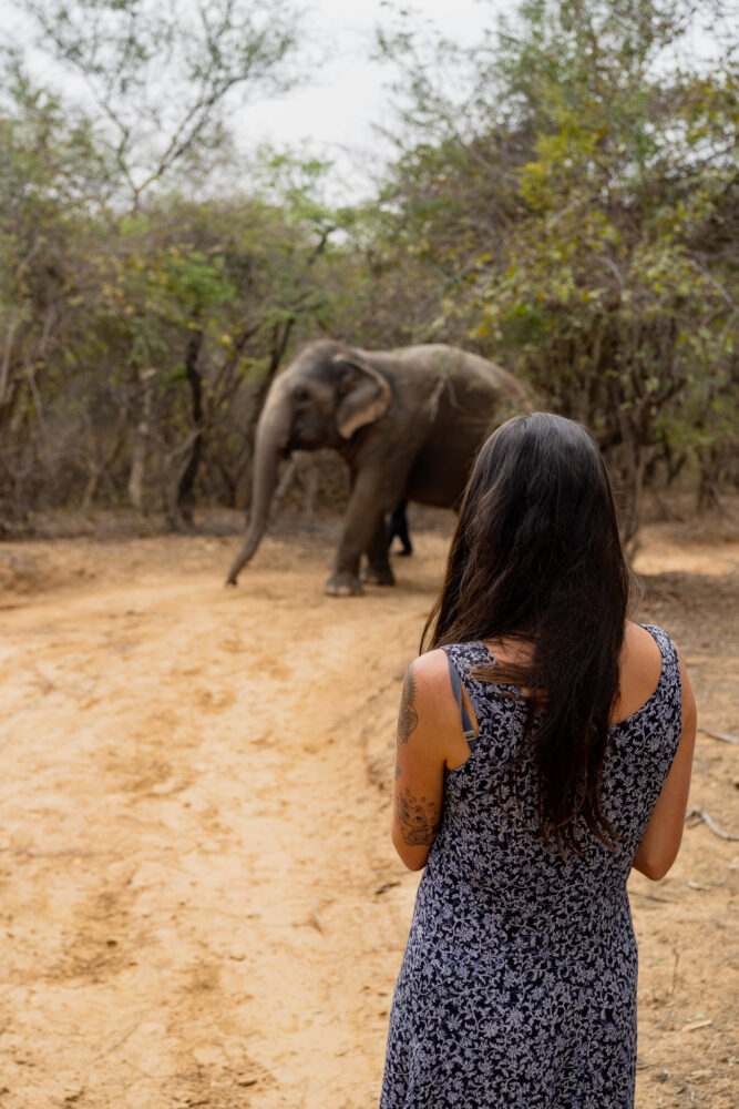 Woman standing with an elephant in the desert enjoying the natural environment. 