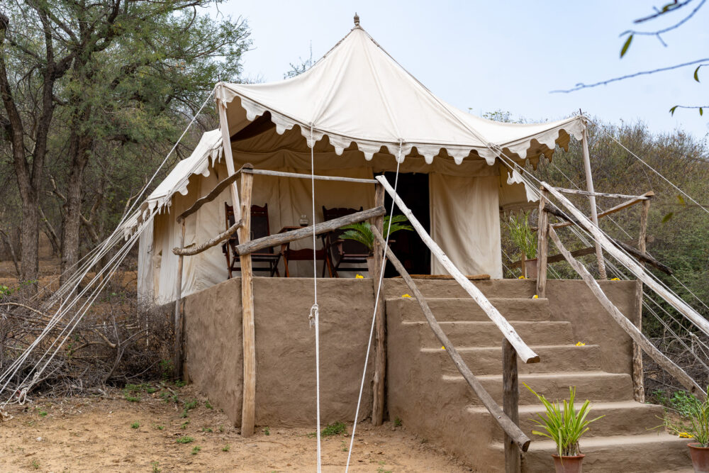 The white glamping tents at Dera Amer Wilderness Camp