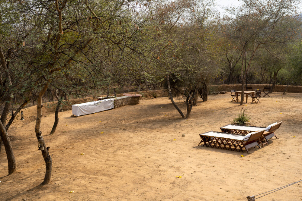 The yard area of your glamping campsite at Dera Amer Wilderness Camp. 