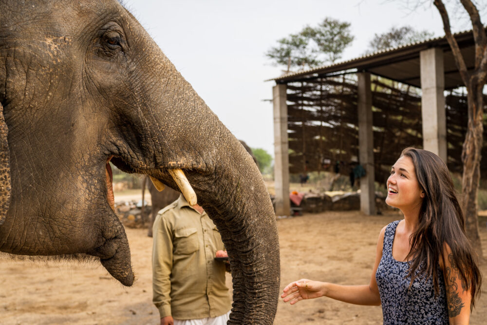Woman feeding a friendly female elephant at Dera Amer Wilderness Camp