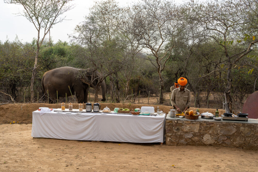 Breakfast served on a long table outside with an elephant nearby. 