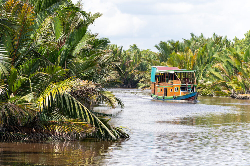 Jungle boat gliding down the river in Indonesian Borneo looking for orangutans 