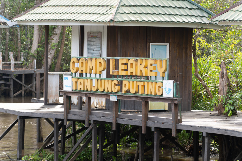 Gold sign on an old dock that says Camp Leakey Tanjung Puting. 
