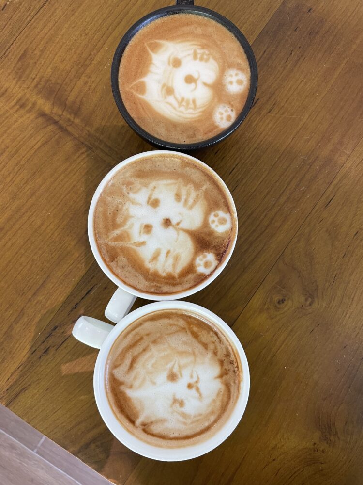 three cups of coffee with cats drawn on them 