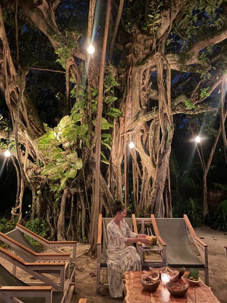Woman in a white dress sitting beneath the banyan tree 