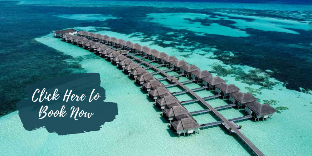 clickable image to book Lux* resort in the maldives. 