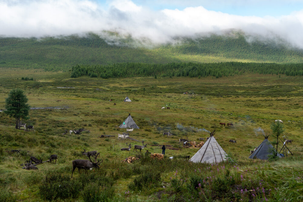 Mongolia's Nomadic Reindeer Tribe look