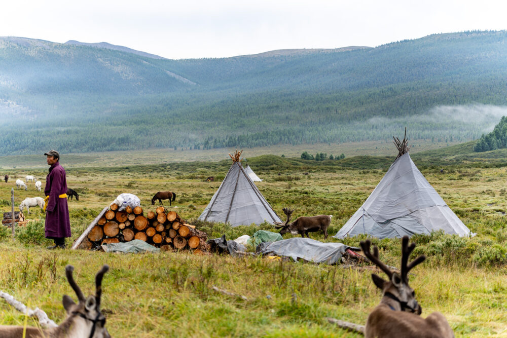 Mongolia's Nomadic Reindeer Tribe camp 