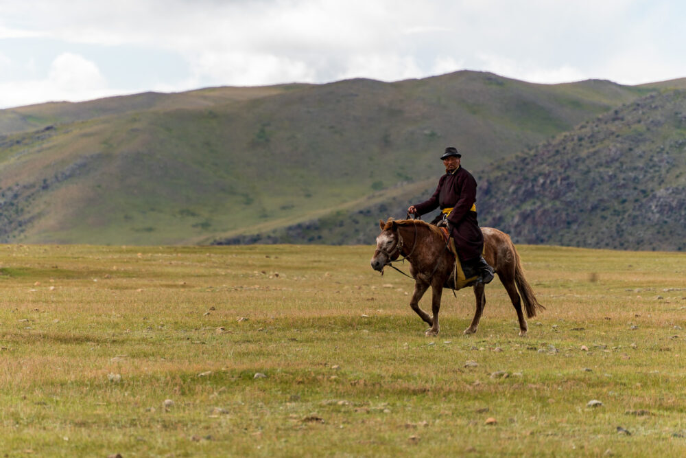 Mongolian man riding on a horse in the open grass. 