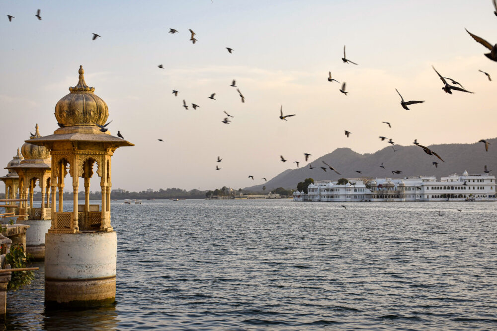 Birds flying over the lake near a yellow tower in Udaipur. 