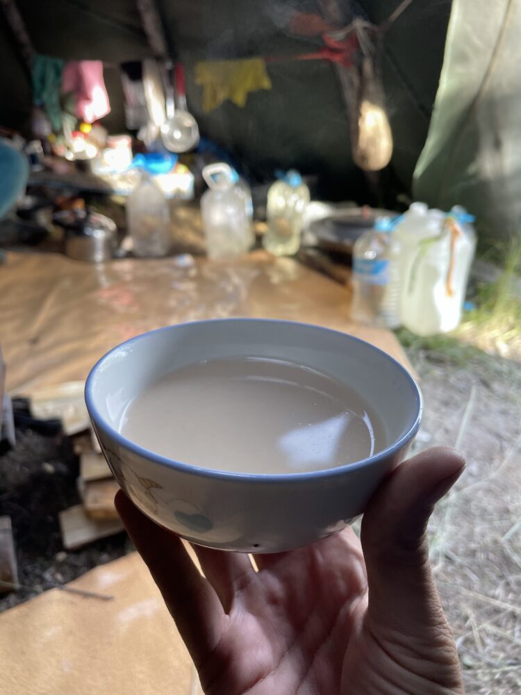 Reindeer milk tea in Mongolia 