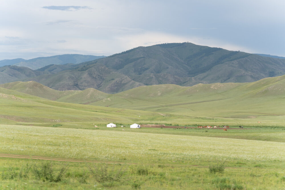 Rolling hills with a ger camp in Terelj National park 