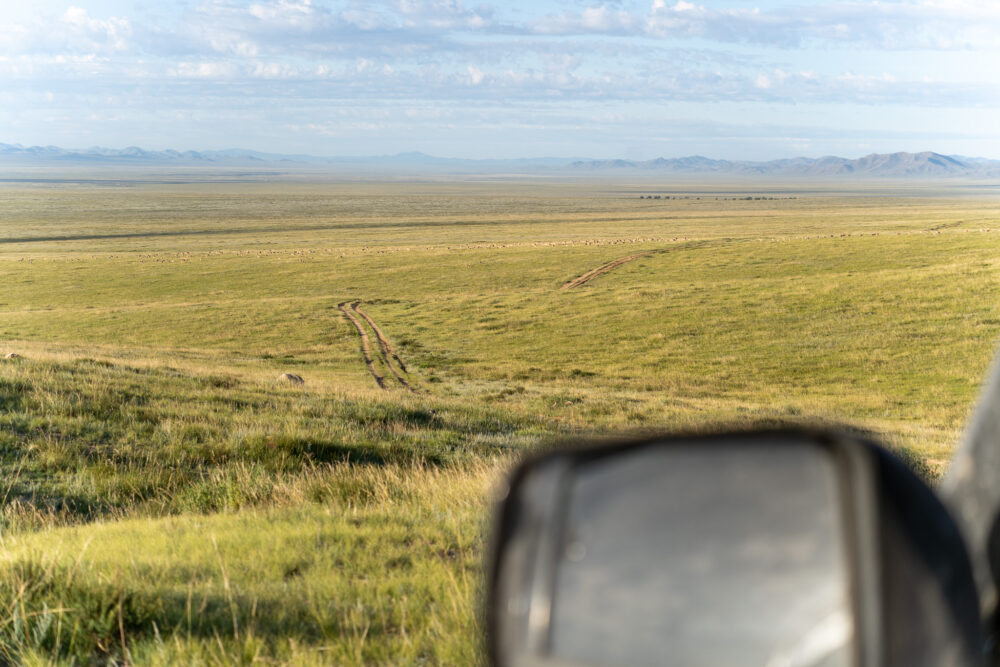 View out of the driver's seat of our 4 x 4 of Hustai National Park 